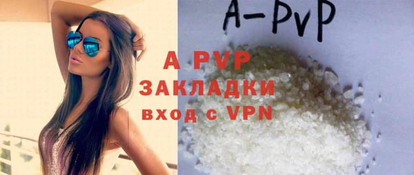 ПСИЛОЦИБИНОВЫЕ ГРИБЫ Осташков