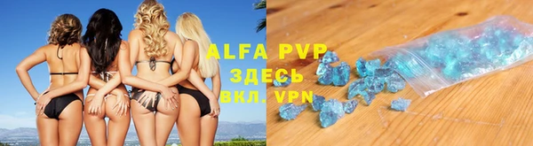 ПСИЛОЦИБИНОВЫЕ ГРИБЫ Осташков