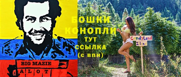 мяу мяу кристалл Няндома